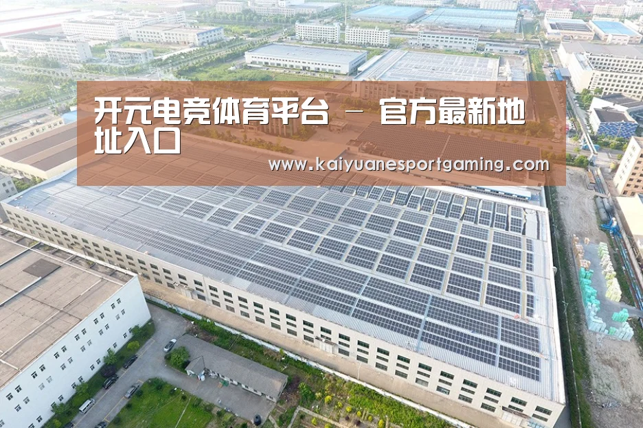 案例展示二