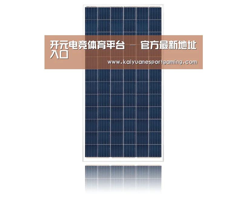 产品名称一