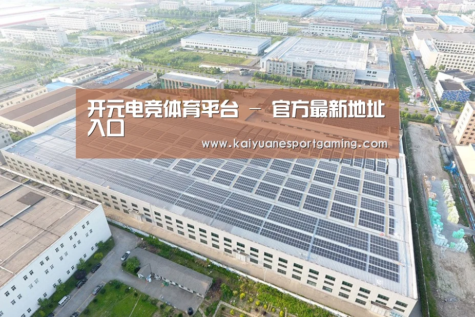 案例展示三