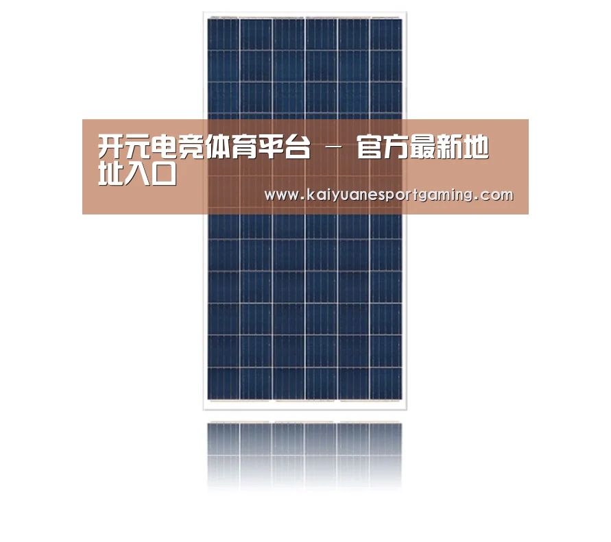 产品名称一