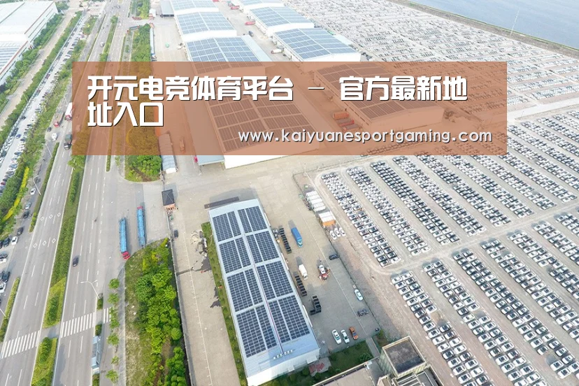 案例展示三