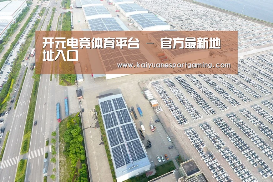 案例展示二