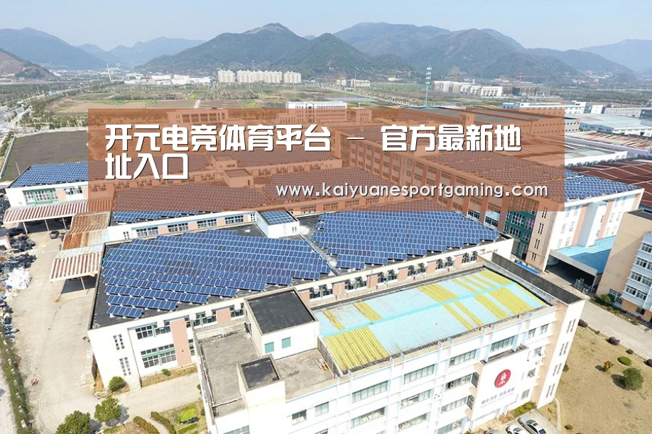 案例展示三