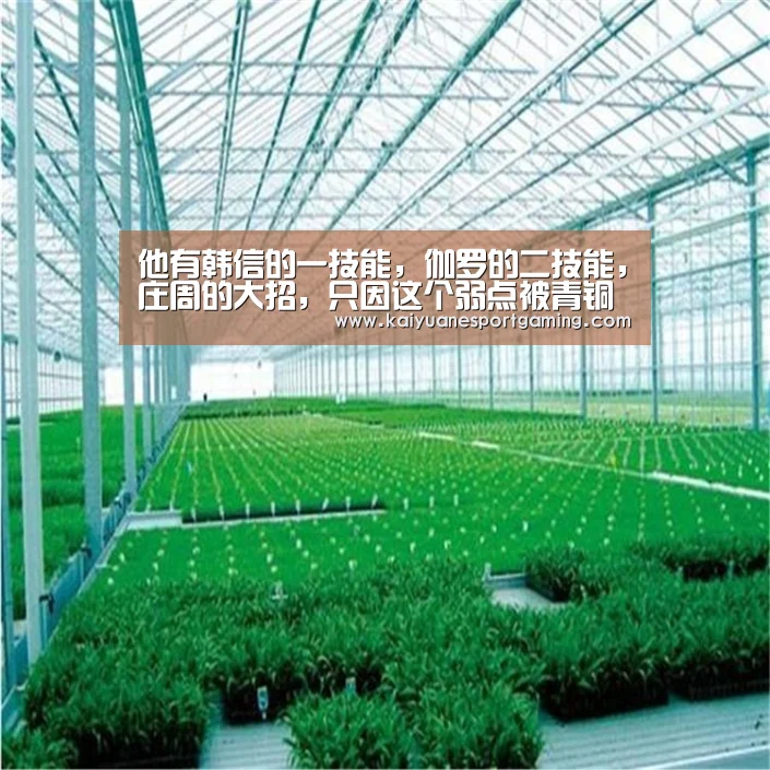 开元APP