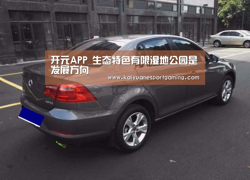 开元娱乐